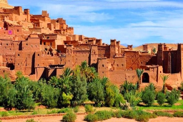 WhatsApp Image 2025-01-20 at 20.47.22